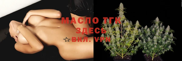 гидра Белоозёрский